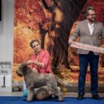 лаготто романьоло титулы